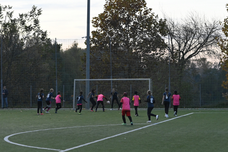 20241112034928__dsc6207.jpg